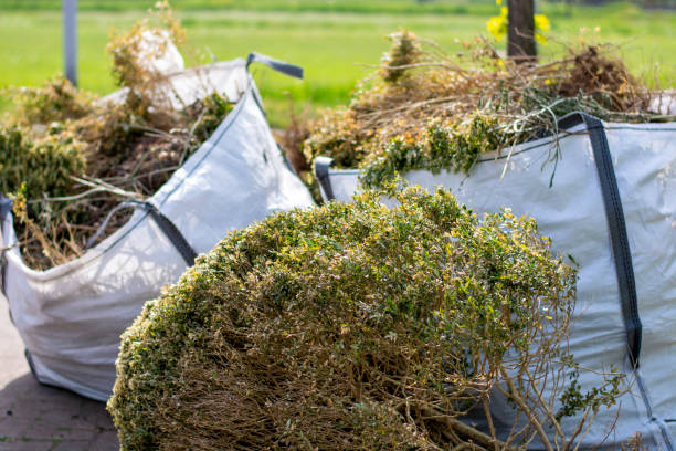 Best Office Junk Removal  in Gainesboro, TN